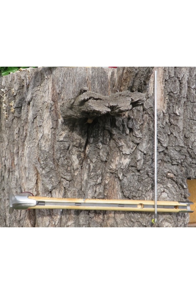 Tree hammer