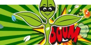 Logo Pflanzenforschung